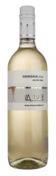 Sauvignon suché